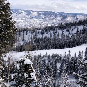 Meet your Posher, Elma